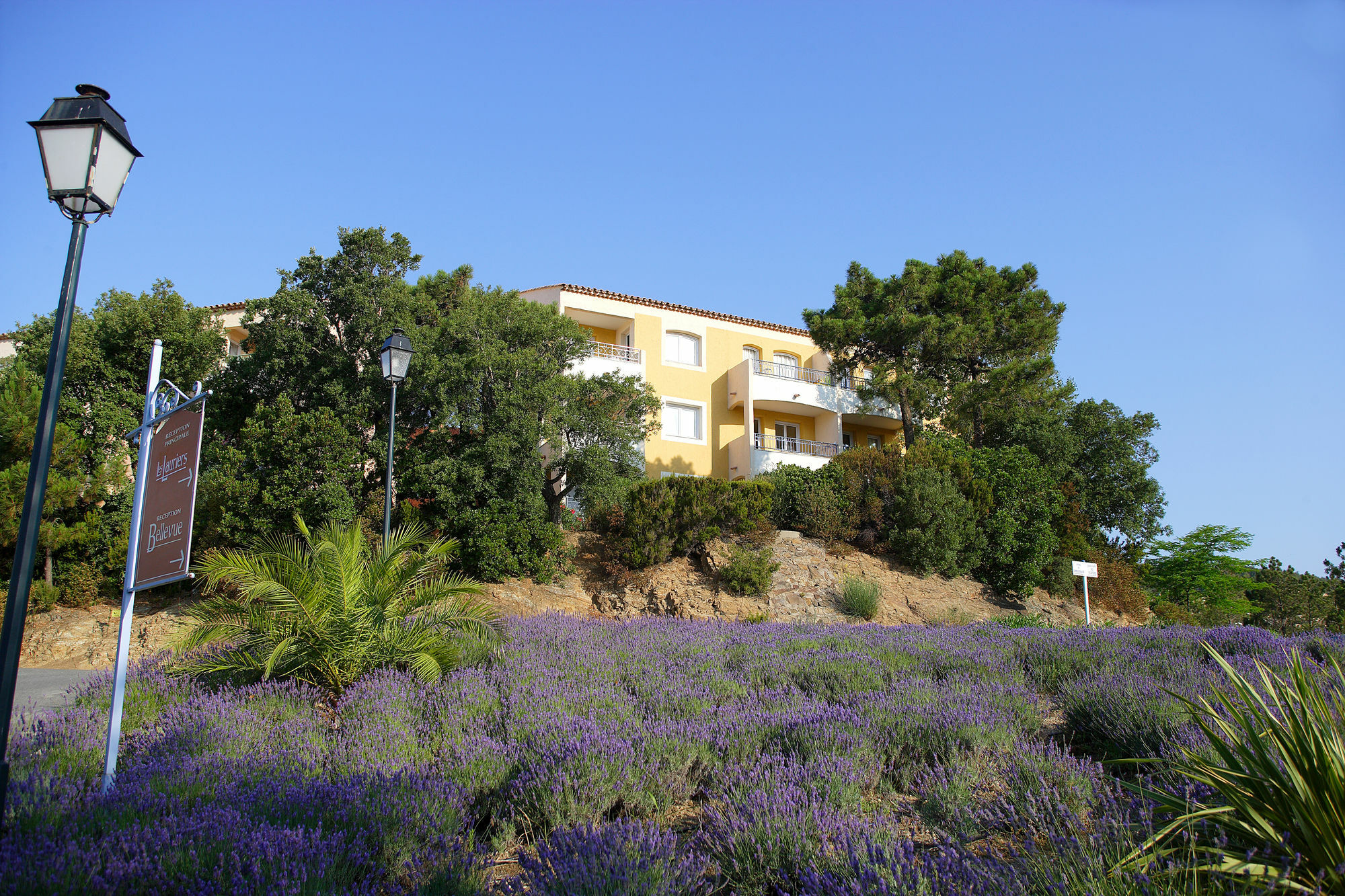 Residence Pierre & Vacances Les Terrasses Des Issambres เลอิสซ็องเบรอ ภายนอก รูปภาพ