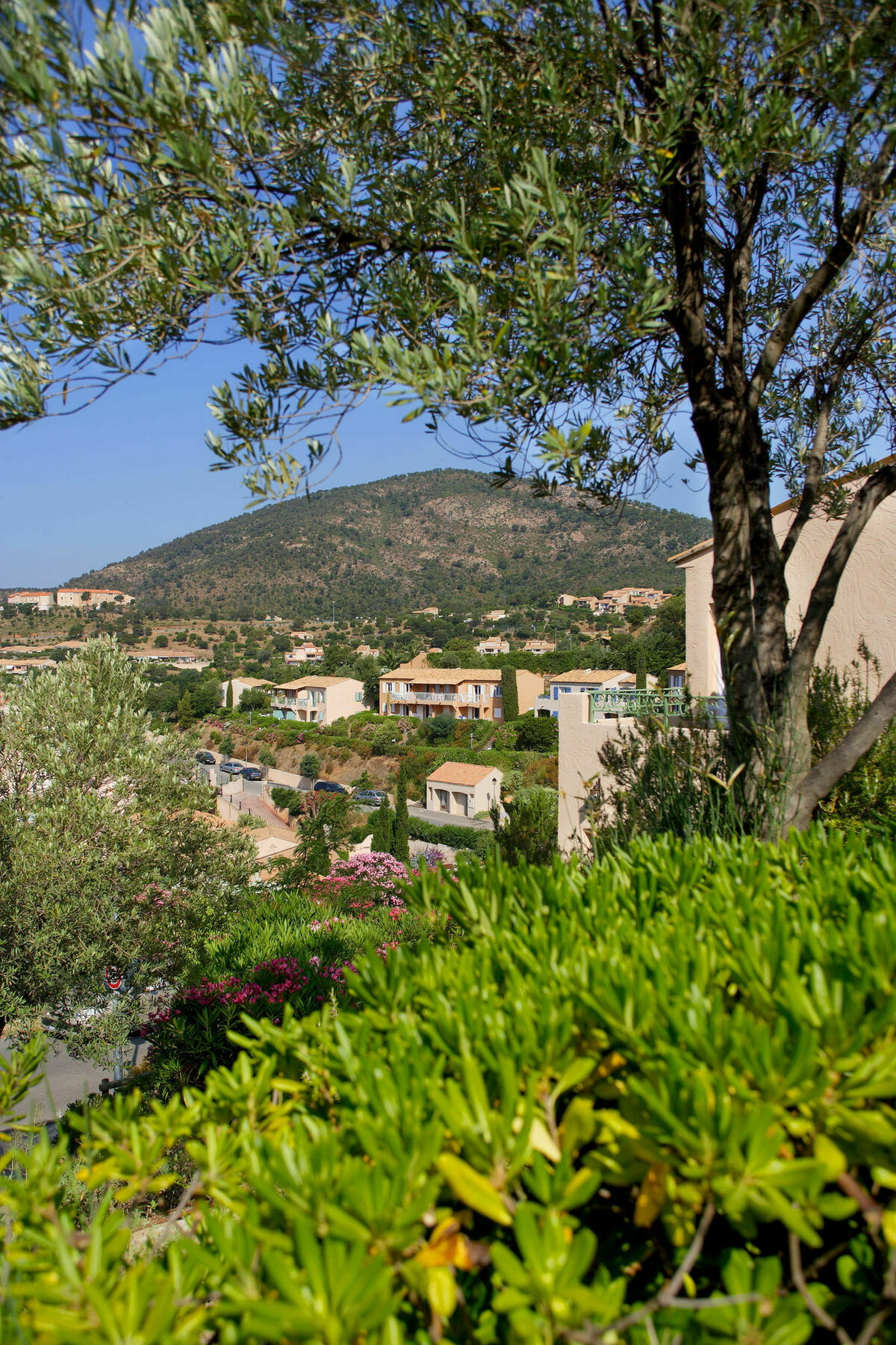 Residence Pierre & Vacances Les Terrasses Des Issambres เลอิสซ็องเบรอ ภายนอก รูปภาพ